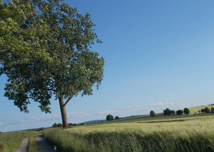 Und Ruhe - Fuer Ruhe Suchende *